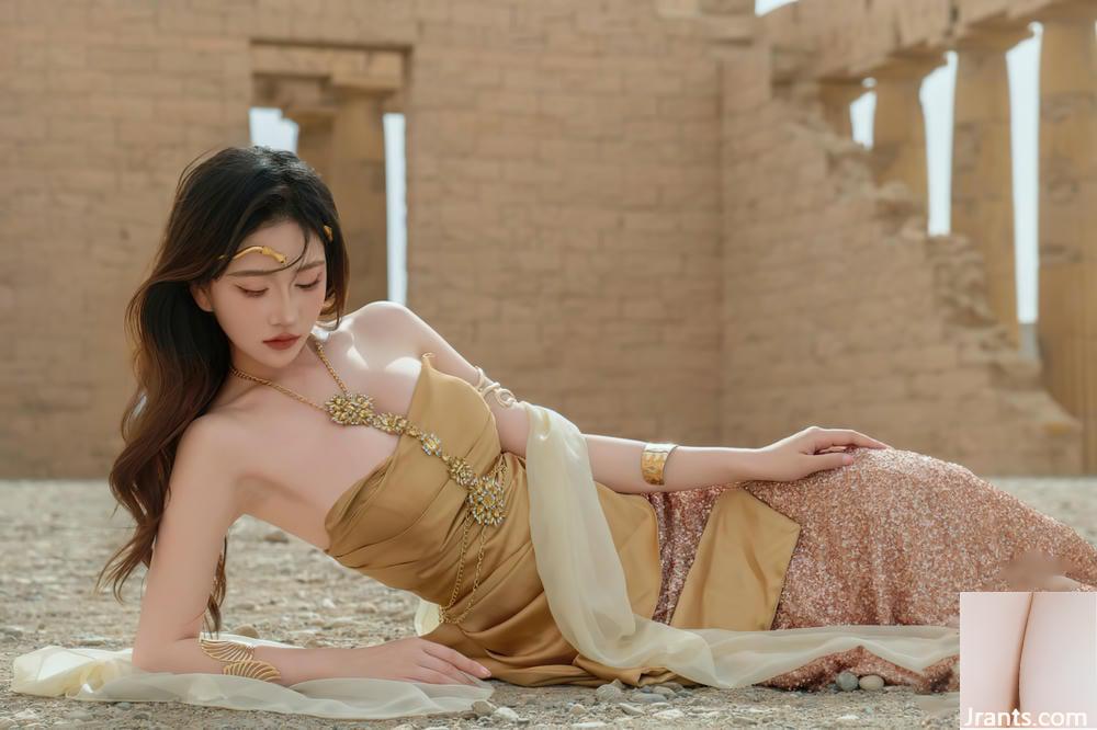(مجموعه شبکه) هر سالن هر سال &#8211; Shengxu (60p)
