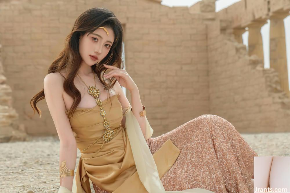 (مجموعه شبکه) هر سالن هر سال &#8211; Shengxu (60p)