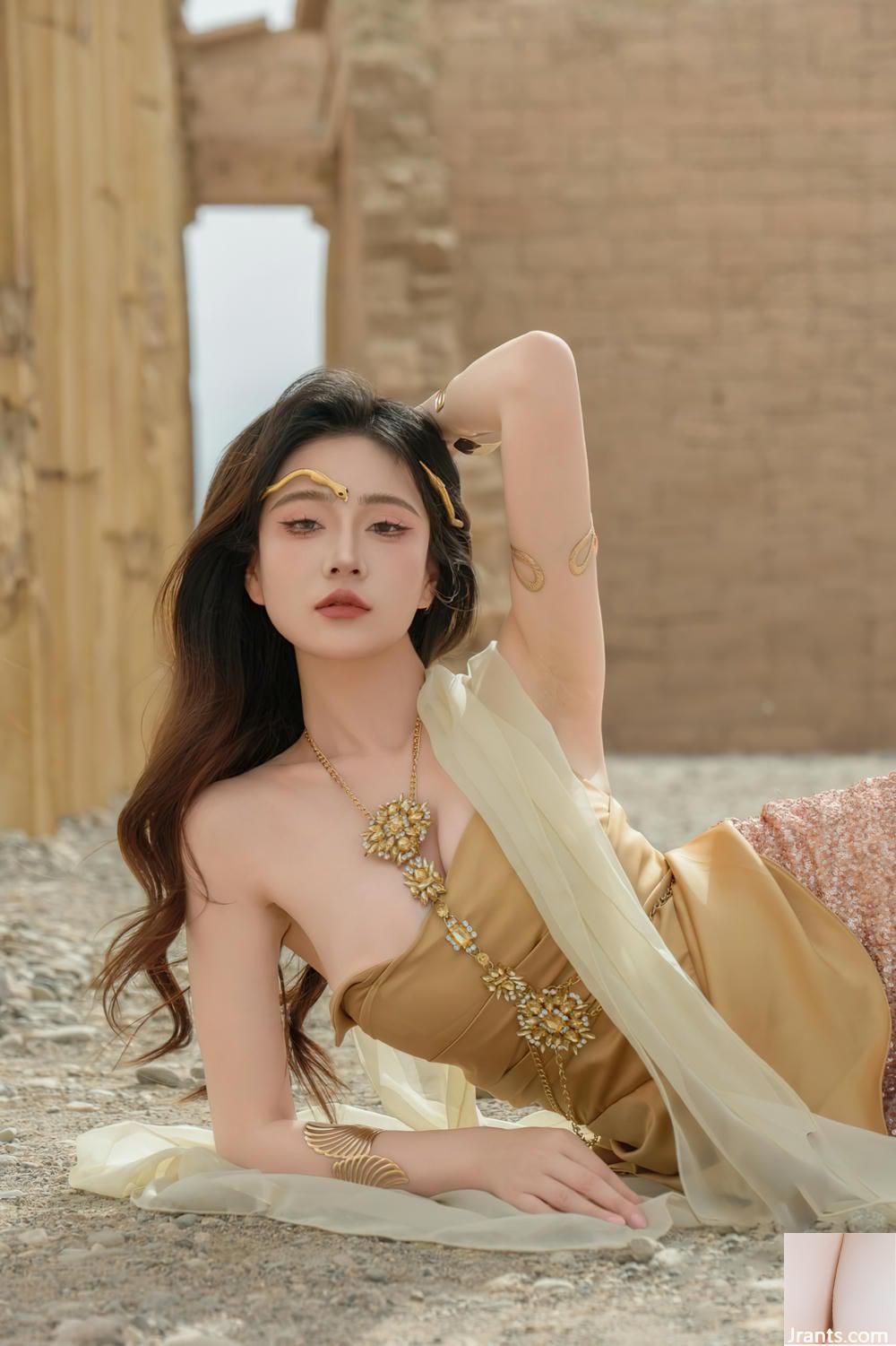 (مجموعه شبکه) هر سالن هر سال &#8211; Shengxu (60p)