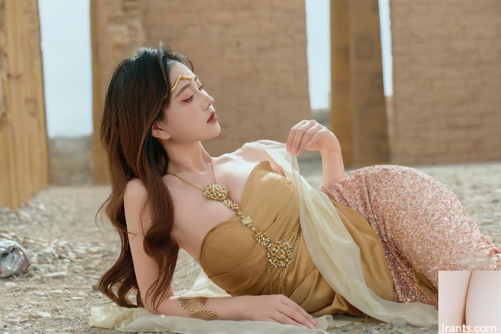 (مجموعه شبکه) هر سالن هر سال &#8211; Shengxu (60p)