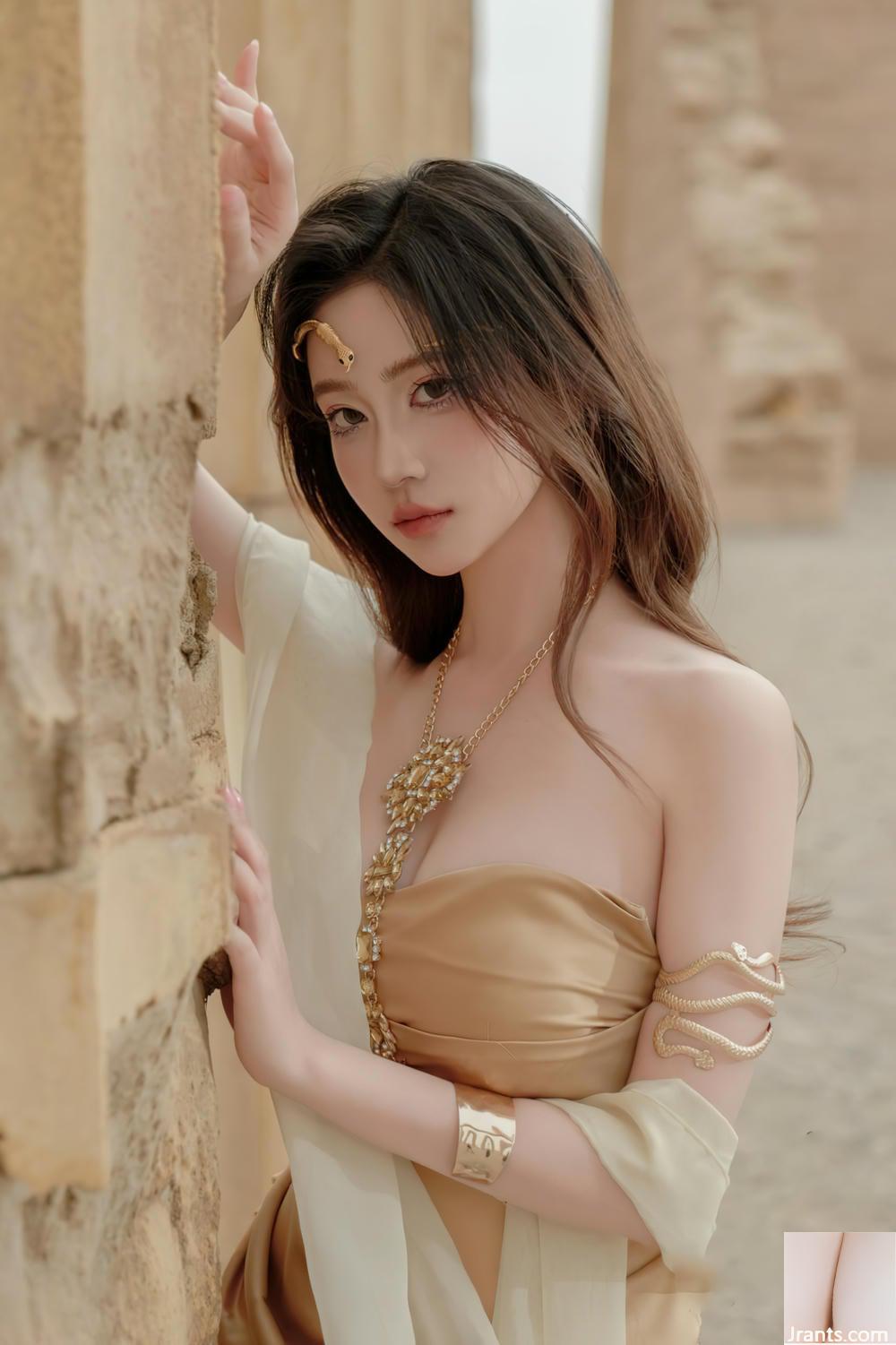 (مجموعه شبکه) هر سالن هر سال &#8211; Shengxu (60p)