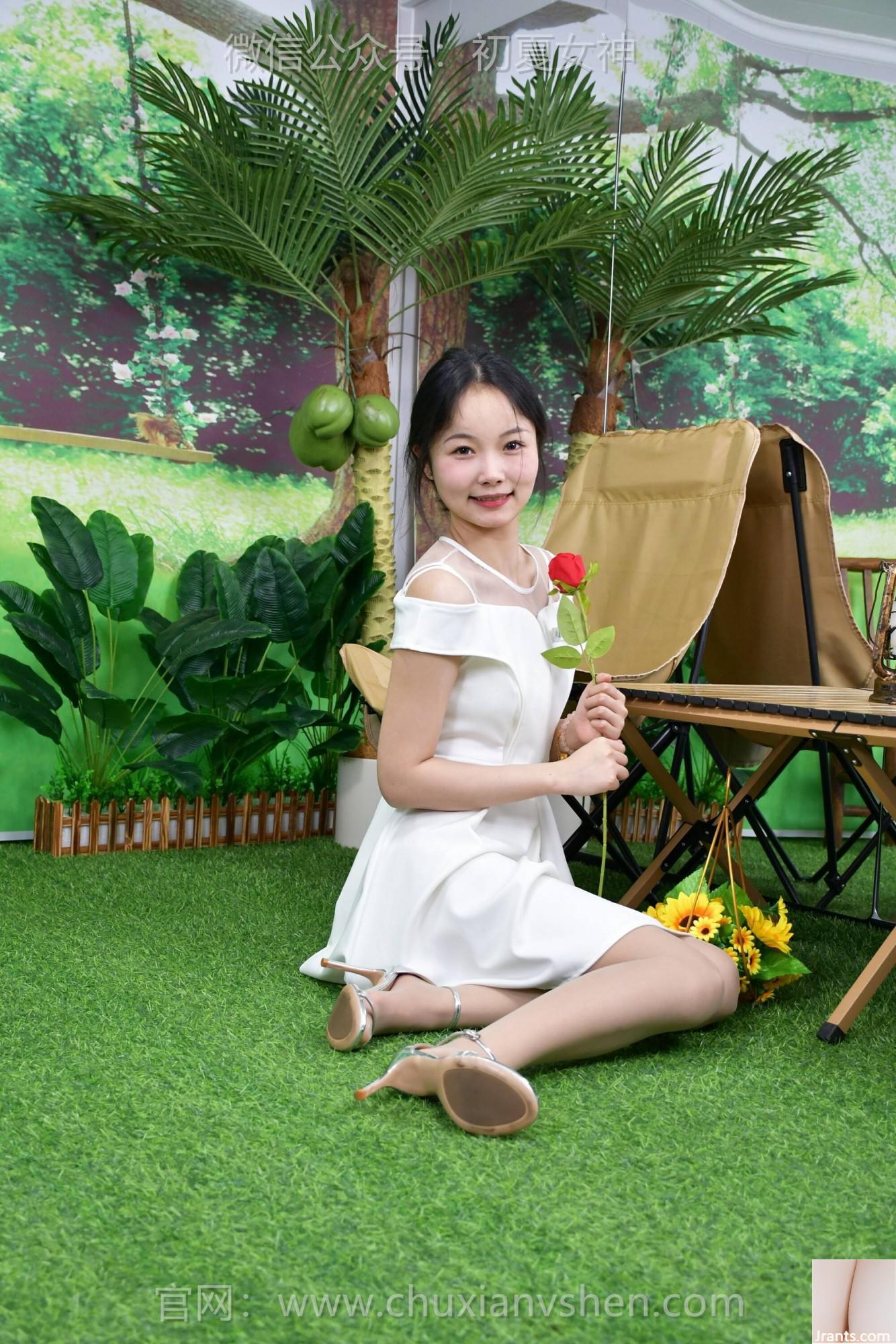 (Schöne Beine online sammeln) Frühsommergöttin Yunyun A Rose (100p)